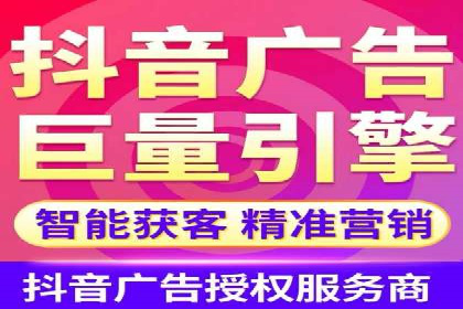 某科技公司的信息流广告投放策略与效果评估